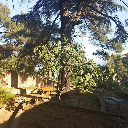 Naturel Life * Provincia di Istanbul