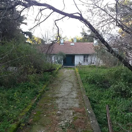 Appartamento Naturel Life Provincia di Istanbul