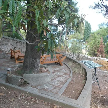 Appartamento Naturel Life Provincia di Istanbul