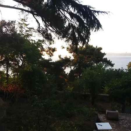 Naturel Life * Istanbul
